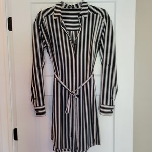 Express Shirt Dress